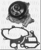 BORG & BECK BWP2244 Water Pump